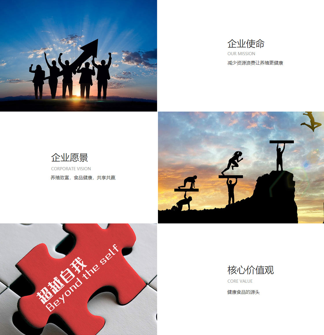 亿德体育官网(图1)